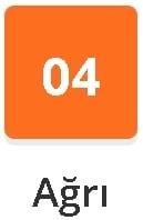 A�r� pastanesi do�um g�n� ya� pasta sipari�i Pastane telefon numaras�